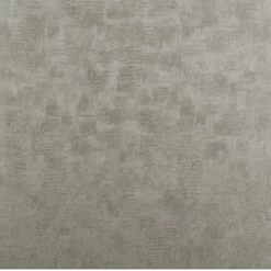 Chinchilla | W0054|04