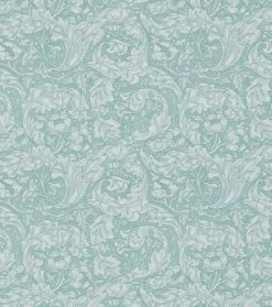 Bachelors Buttons | DM3W214732