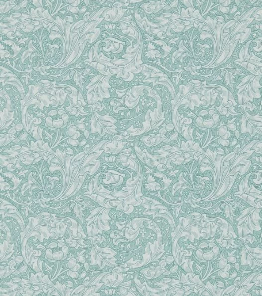 Bachelors Buttons | DM3W214732 1 Bachelors Buttons | DM3W214732