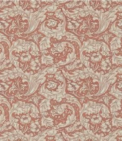 Bachelors Buttons | DM3W214734