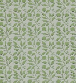 Rosehip | DM3W214708