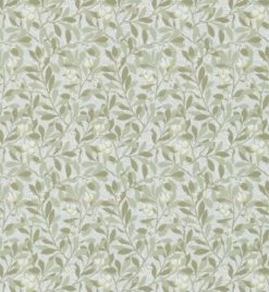 Arbutus | DM3W214717