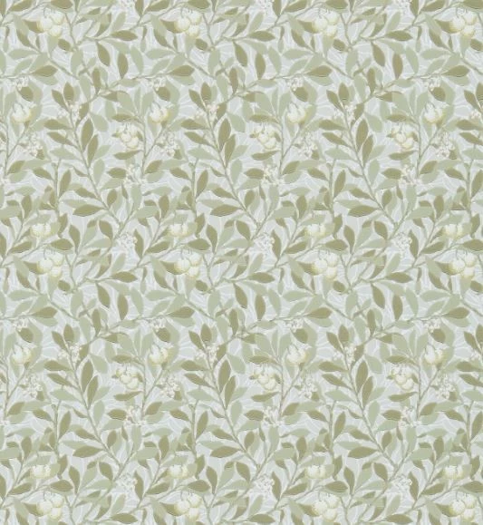 Arbutus | DM3W214717 1 Arbutus | DM3W214717