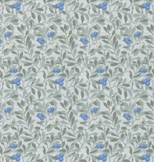 Arbutus | DM3W214721 1 Arbutus | DM3W214721