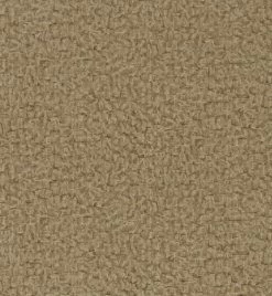 Leighton | ZPHA312602