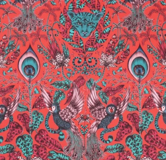 Amazon | W0098-05 1 Amazon | W0098-05