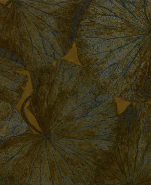 Taisho | 312748 1 Taisho | 312748