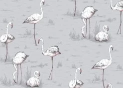 Flamingos | 112-11040