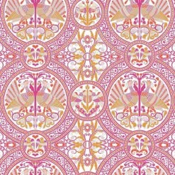 Arabian Birds | Summer