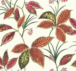 Maui Maui | TP80810 -Home Wallpaper 17671 2