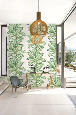 Maui Maui TP81224 5 Maui Maui TP81224 -Home Wallpaper 17701 2