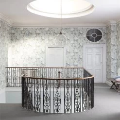 King Protea | 216645 7 King Protea | 216645 -Home Wallpaper 17725 3