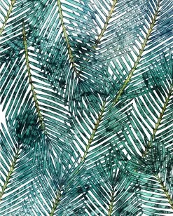 Palm Canopy | P025-VD2 -Home Wallpaper 17753 2