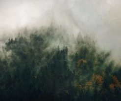 Tales Of Carapathians | PSH036-VD3 -Home Wallpaper 17867 2