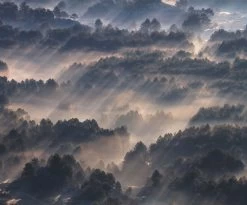 Rays | PO29-VD3 -Home Wallpaper 17868 2