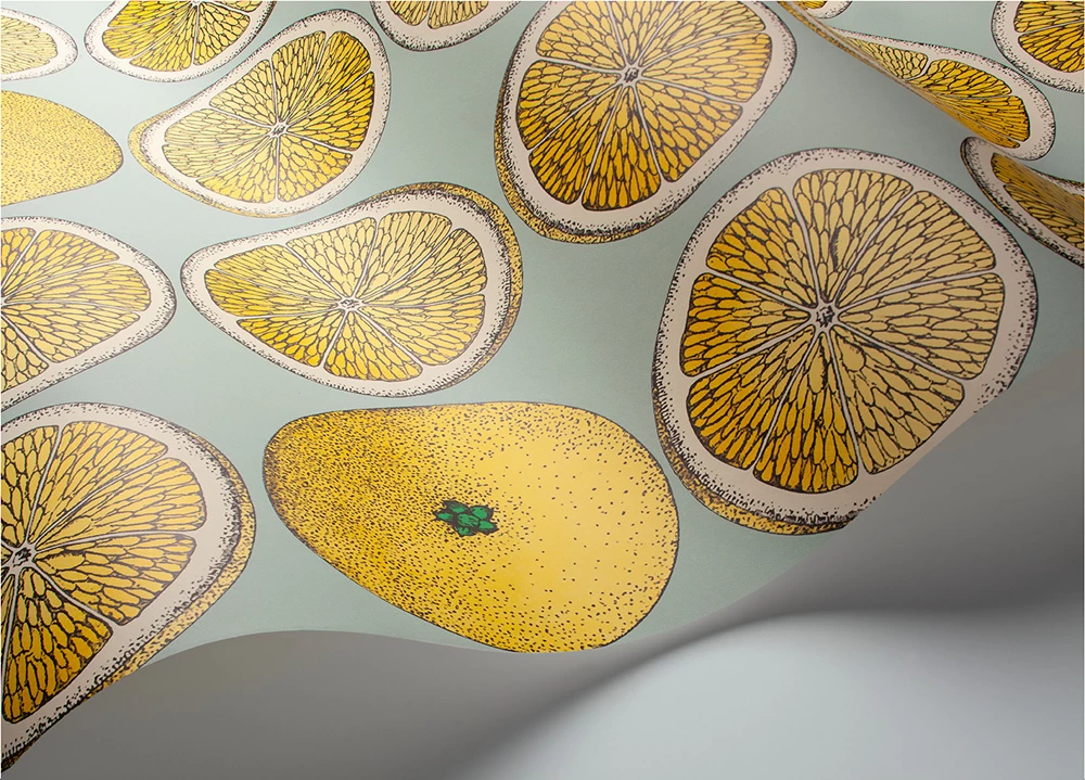 Arance | 114-24048 4 Arance | 114-24048 - Image 4