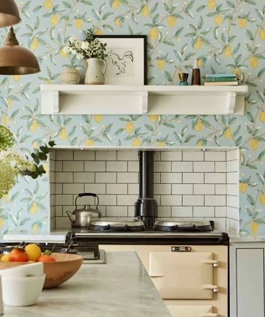 Lemon Tree | 216674 2 Lemon Tree | 216674 - Image 2