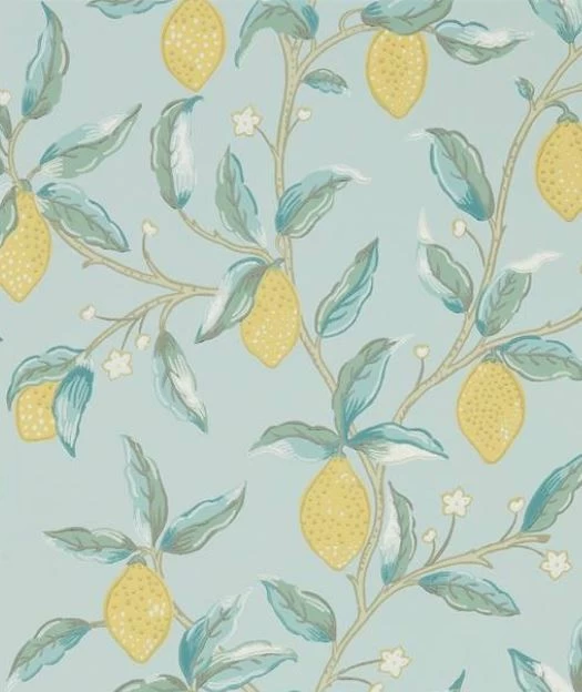 Lemon Tree | 216674 3 Lemon Tree | 216674 - Image 3