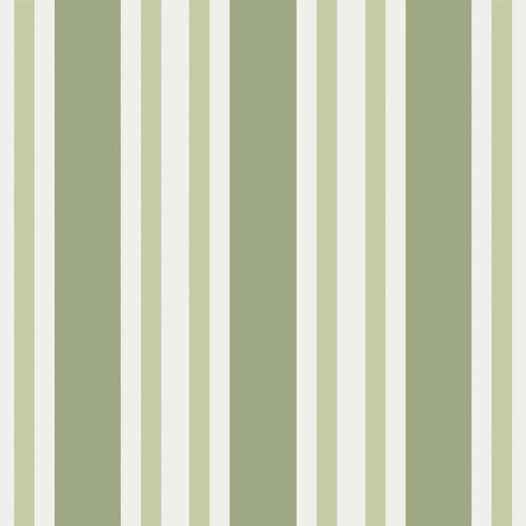 Polo Stripe | 110-1003 2 Polo Stripe | 110-1003 - Image 2