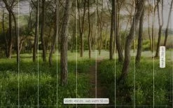 Mural | Blossom Magic Forest | SHX9-011 -Home Wallpaper 19702 2