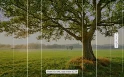 Mural | The Magic Tree | SHX9-086 | Parkland Tree View -Home Wallpaper 19706 2