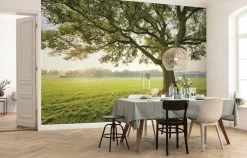 Mural | The Magic Tree | SHX9-086 | Parkland Tree View