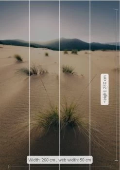 Mural | Vivid Dunes | SHX4-091 - Sand Dunes -Home Wallpaper 19784 2