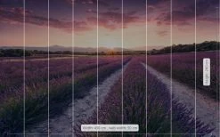 Mural | Lavender Dream | SHX9-052 -Home Wallpaper 19789 2