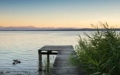 Mural | Pastel | SHX9-067 | Lake Jetty