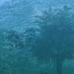 Mural | Deep In The Jungle -Home Wallpaper 43467 3