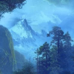 Mural | Midnight -Home Wallpaper 43473 3