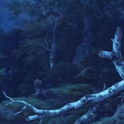 Mural | Midnight -Home Wallpaper 43473 4