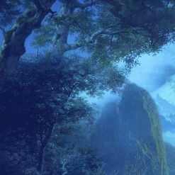 Mural | Midnight -Home Wallpaper 43473 5