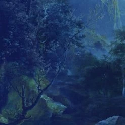 Mural | Midnight -Home Wallpaper 43473 6