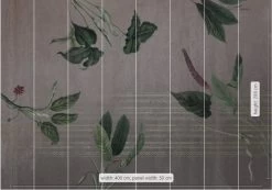 Mural | Tropic Concrete -Home Wallpaper 43484 2