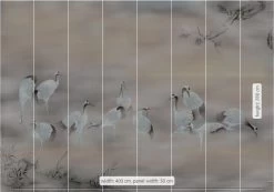 Mural | Fulfillness -Home Wallpaper 43486 2