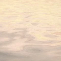 Mural | Fernweh -Home Wallpaper 43533 5