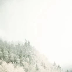 Mural | Journey -Home Wallpaper 43544 7