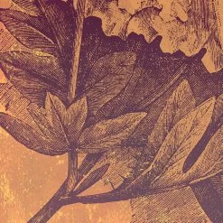 Komar Mural | Harvest Golden Flower -Home Wallpaper 43561 4