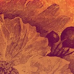 Komar Mural | Harvest Golden Flower -Home Wallpaper 43561 5