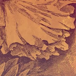 Komar Mural | Harvest Golden Flower -Home Wallpaper 43561 6