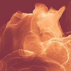 Komar Mural | Evoke -Home Wallpaper 43571 3