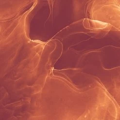 Komar Mural | Evoke -Home Wallpaper 43571 4