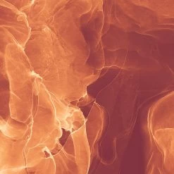 Komar Mural | Evoke -Home Wallpaper 43571 5