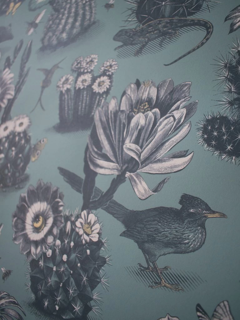 Priscilla | Cacti Heaven Wallpaper 4 Priscilla | Cacti Heaven Wallpaper - Image 4