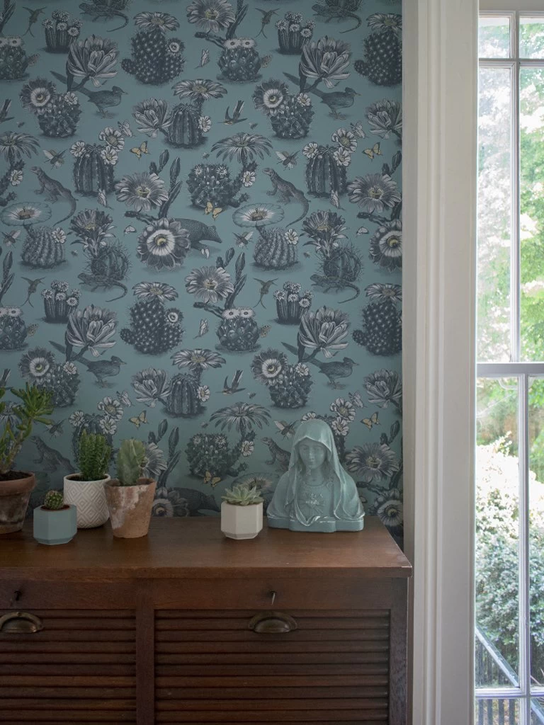 Priscilla | Cacti Heaven Wallpaper 1 Priscilla | Cacti Heaven Wallpaper