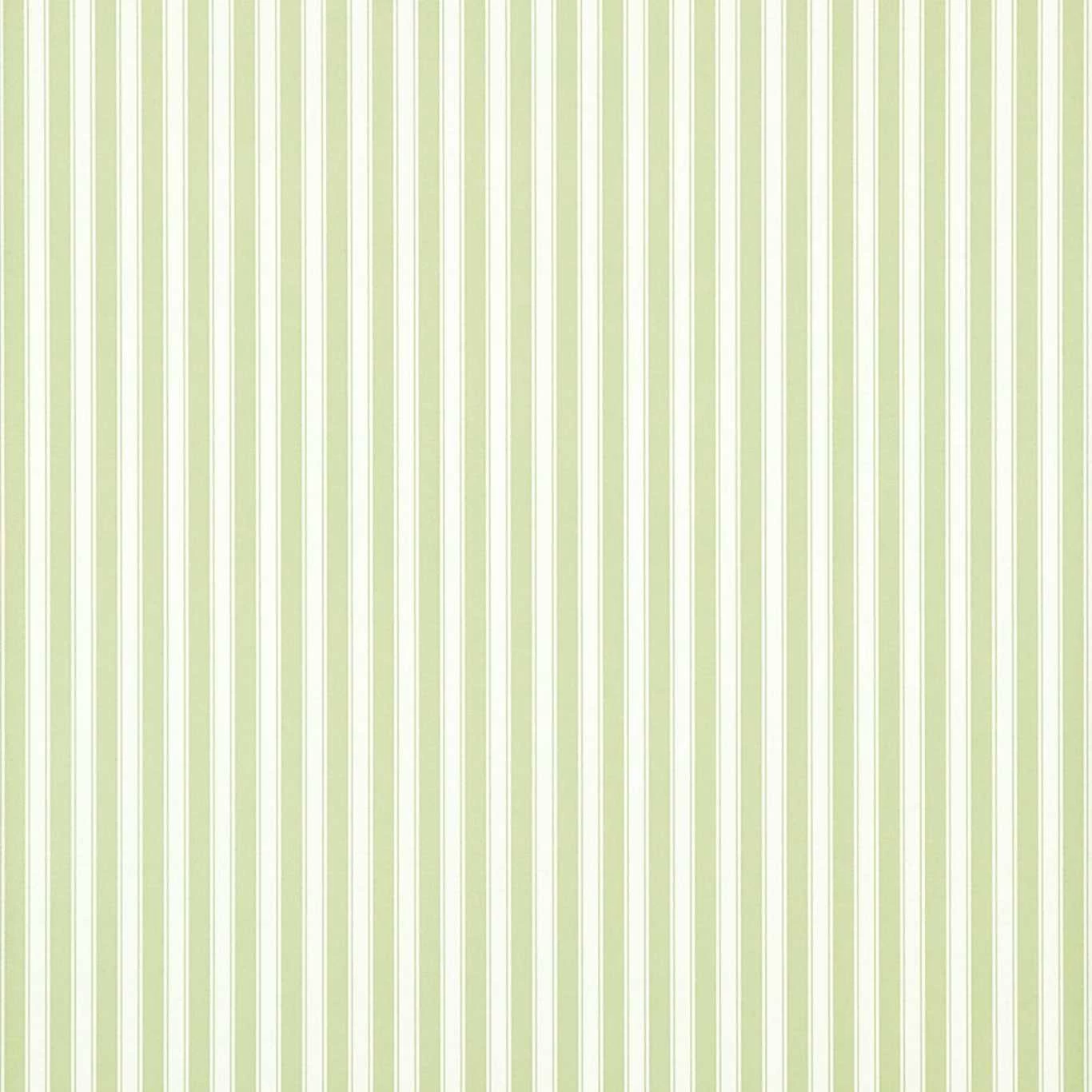 New Tiger Stripe | Soft Green 1 New Tiger Stripe | Soft Green
