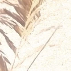 Mural | Dune Grass -Home Wallpaper 44239 2