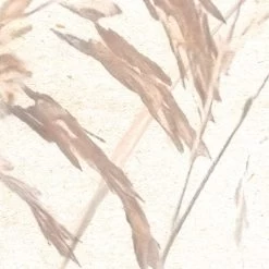 Mural | Dune Grass -Home Wallpaper 44239 6