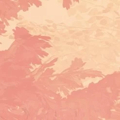 Mural | Heartwood -Home Wallpaper 44240 3